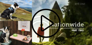  RTE TV Player : Ivan on Nationwide 
